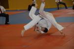 Campeonato de Judo