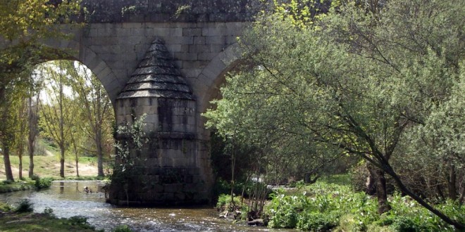 Fotos cauces Las Rozas