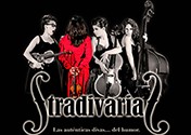 stradivarias