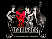 stradivarias